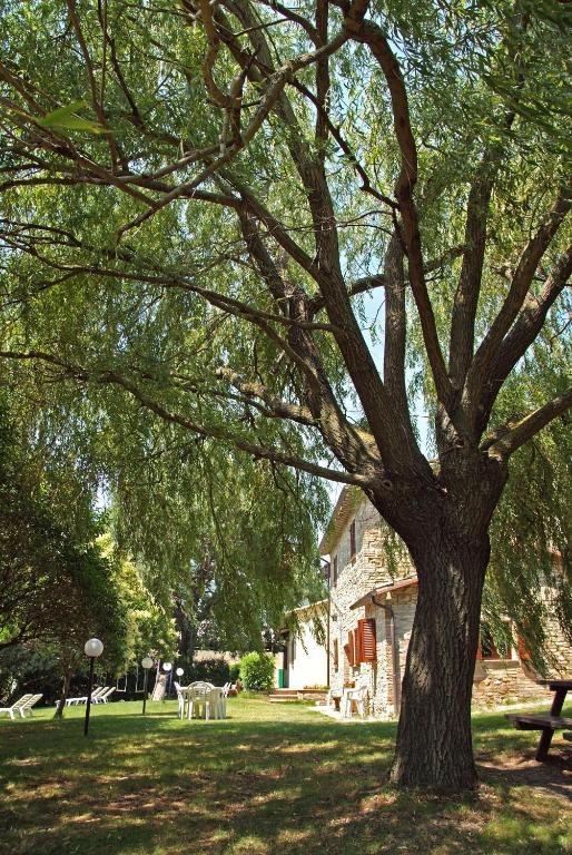 فيلا أسيسيفي Agriturismo Nizzi المظهر الخارجي الصورة